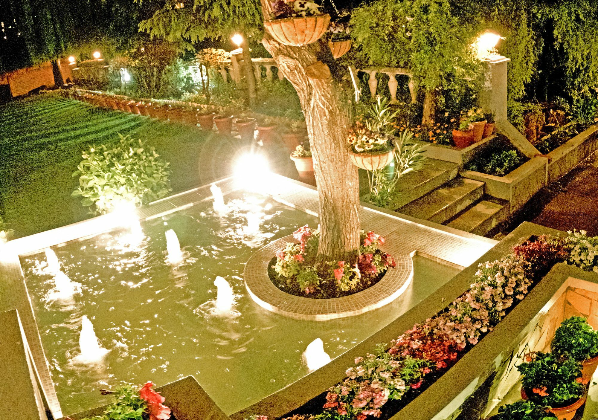 Royal Jardin Whistling Pines Resort Shimla Eksteriør bilde